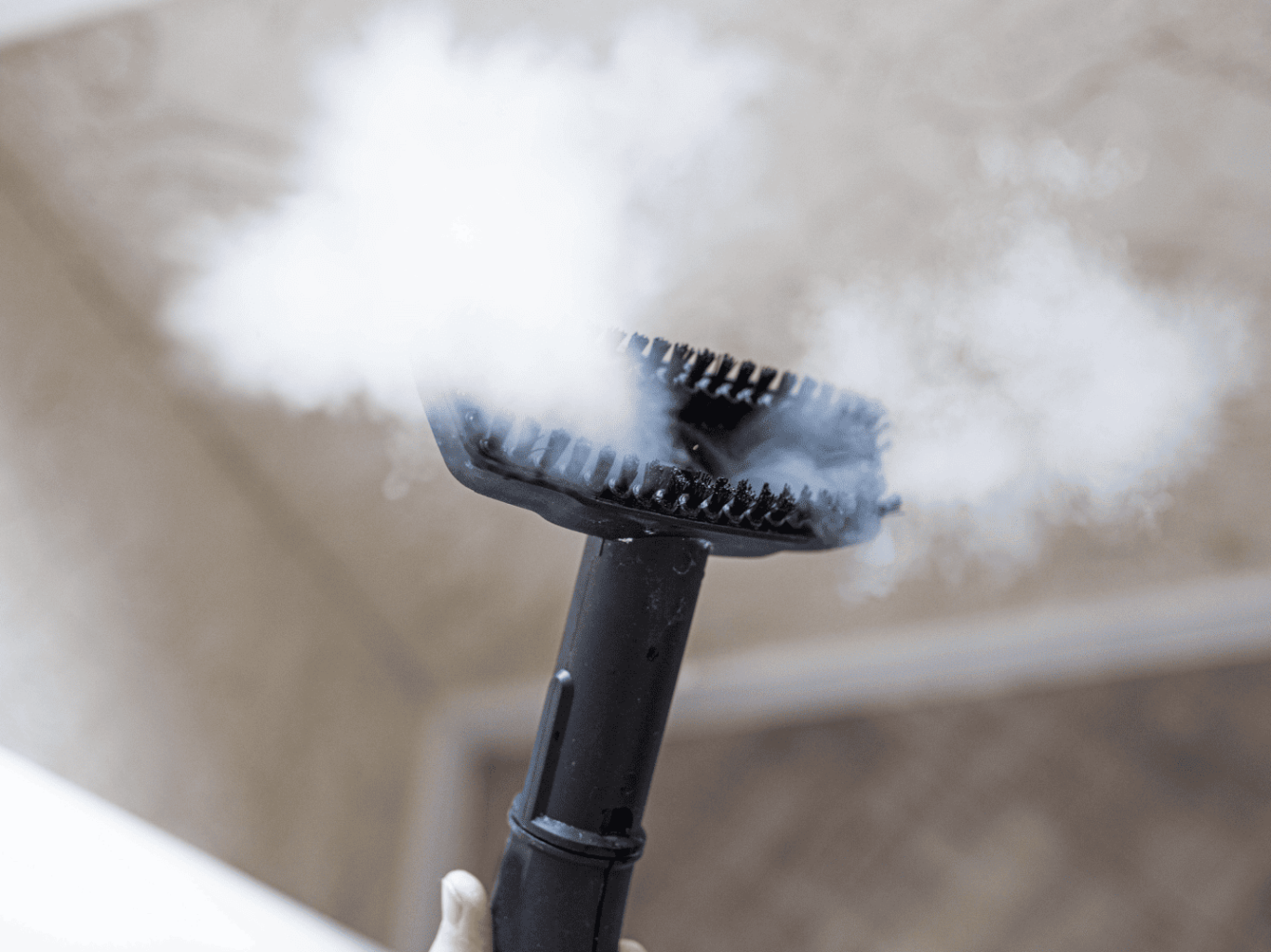 Vapeur pour tuer les punaises de lit