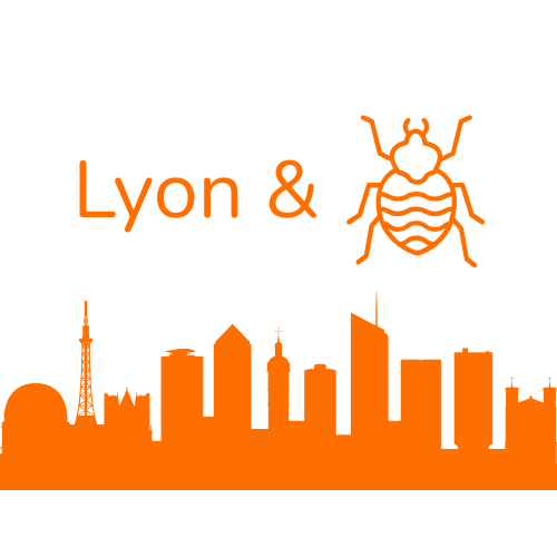 Skyline de Lyon avec une punaises de lit